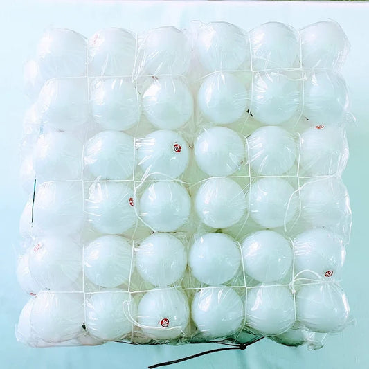 Single Color 2.5" Inch Natural White Plastic Ball - 30 No